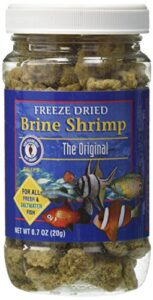 san francisco bay brand asf71109 freeze dried brine shrimp for fresh and saltwater fish, 20gm