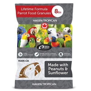 hagen tropican lifetime formula parrot food, 8 lb. - hari parrot food with peanuts & sunflower seeds and balance nutrition levels