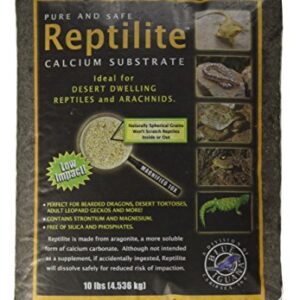 Caribsea Reptilite Habitat, 10-Pound, Smokey Sands