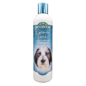 bio-groom groom 'n fresh dog and cat conditioning shampoo, 12-ounce