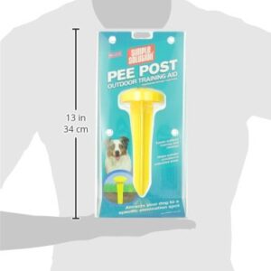 Simple Solution Pee Post Outdoor Potty Training Aid | Pheromone-Infused Yard Stake with GO HERE™ Technology | 13 Inch Stake