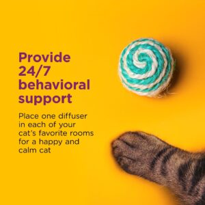 Comfort Zone Cat Calming Diffuser Refills Value Kit: 6 pack; Pheromones to Reduce Stress, Spraying & Scratching