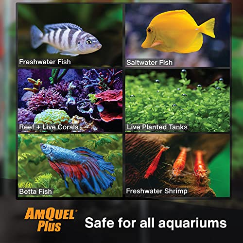 KORDON #33444 AmQuel Plus for Aquarium, 4-Ounce