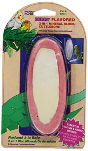 penn-plax 2-in-1 mineral block and cuttlebone, berry flavored, 5-inch