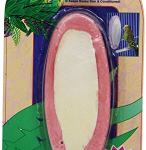 Penn-Plax 2-in-1 Mineral Block and Cuttlebone, Berry Flavored, 5-Inch