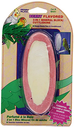 Penn-Plax 2-in-1 Mineral Block and Cuttlebone, Berry Flavored, 5-Inch