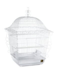 prevue pet products jumbo scrollwork bird cage 220w white, 18-inch by 18-inch by 25-inch
