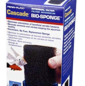 Penn-Plax Cascade 600 Filter Replacement Bio-Sponge (1 Sponge) – Provides Physical and Biological Filtration for Freshwater and Saltwater Aquariums