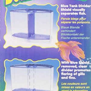 Penn Plax Twin Beta Bow-Front Kit for Aquarium Blue, Green, Tank is 7.5" Across The Front, 6" Across The Back