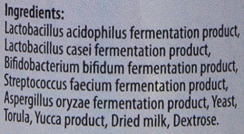 Marshall Pet Products Natural Probiotic Pet Digestive Tract Conditioner Supplement Eases Digestive Stress, ECE and Diarrhea in Ferrets and Small Animals, 1.7 oz