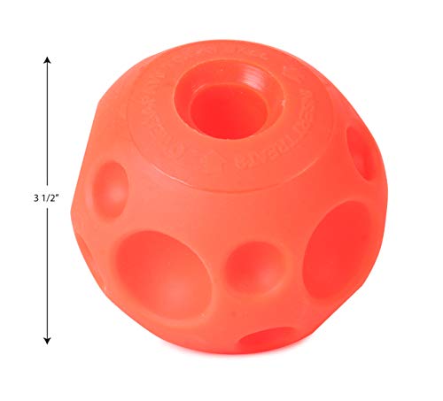 Omega Paw Tricky Treat Ball, Small