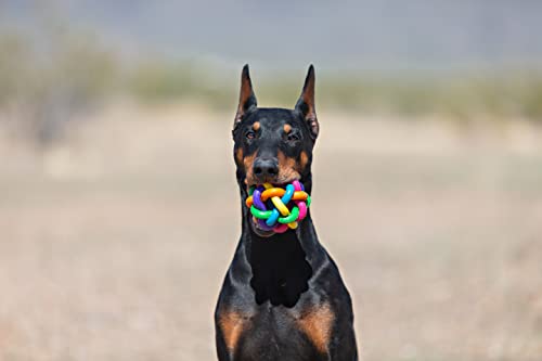 Multi Pet Nobbly Wobbly Dog Rubber Ball-Medium, for Small breeds