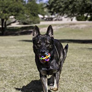 Multi Pet Nobbly Wobbly Dog Rubber Ball-Medium, for Small breeds