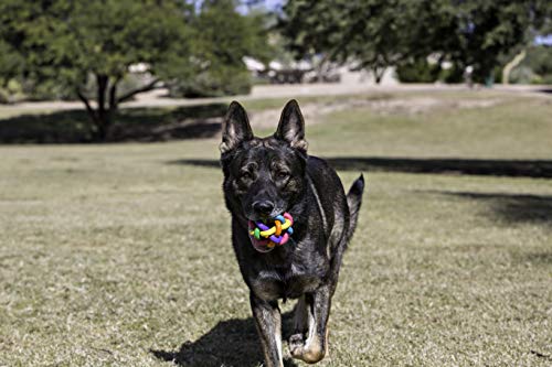 Multi Pet Nobbly Wobbly Dog Rubber Ball-Medium, for Small breeds