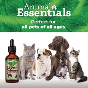 Animal Essentials Liver Defense Liver Support for Dogs & Cats, 1 fl oz - Made in USA, Dandelion & Milk Thistle