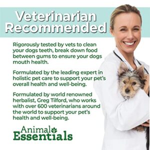 Animal Essentials Liver Defense Liver Support for Dogs & Cats, 1 fl oz - Made in USA, Dandelion & Milk Thistle