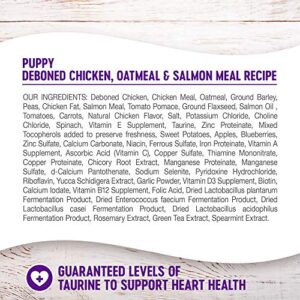 Wellness Complete Health Dry Puppy Food, Chicken, Salmon & Oatmeal, 30-Pound Bag