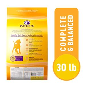 Wellness Complete Health Dry Puppy Food, Chicken, Salmon & Oatmeal, 30-Pound Bag