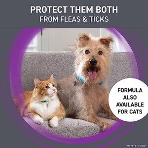 FRONTLINE Plus Flea and Tick Treatment for Medium Dogs Up to 23 to 44 lbs, 3 Treatments