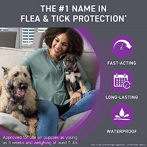 FRONTLINE Plus Flea and Tick Treatment for X-Large Dogs Up to 89 to 132 lbs., 3 Treatments