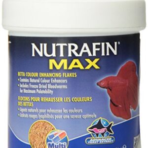 Nutrafin Max Betta Color Flakes, 0.85-Ounce