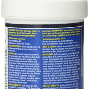 Nutrafin Max Betta Color Flakes, 0.85-Ounce