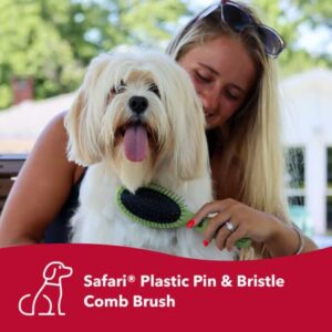 Coastal Pet Safari Pin and Bristle Combo Dog Brush with Plastic Handle - 2-in-1 Wire Pin Brush and Dog Bristle Brush - Ideal for Multi-Dog Household - For Dogs with Short and Long Hair - Large