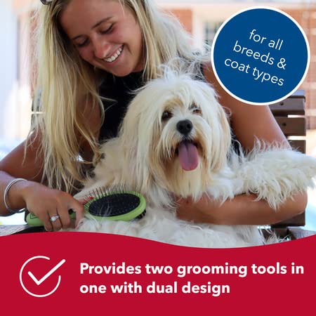 Coastal Pet Safari Pin and Bristle Combo Dog Brush with Plastic Handle - 2-in-1 Wire Pin Brush and Dog Bristle Brush - Ideal for Multi-Dog Household - For Dogs with Short and Long Hair - Large