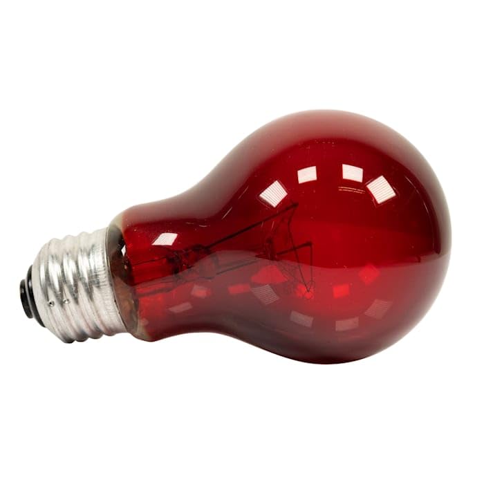 Zoo Med Nightlight Red Bulb for Reptiles, 25 Watts