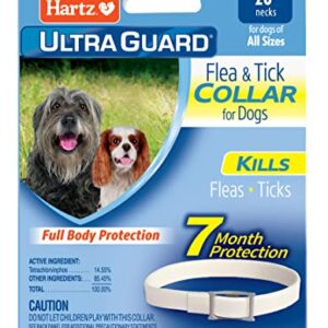 Hartz UltraGuard Flea & Tick Collar for Dogs and Puppies - 26" Neck, 7 Month Protection