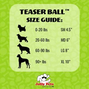 Jolly Pets Teaser Ball Dog Toy, Medium/6 Inches, Red