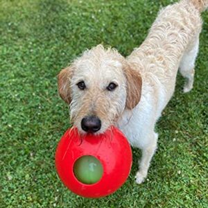 Jolly Pets Teaser Ball Dog Toy, Medium/6 Inches, Red