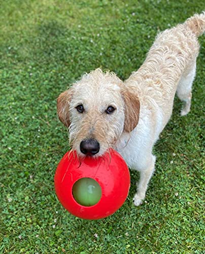 Jolly Pets Teaser Ball Dog Toy, Medium/6 Inches, Red