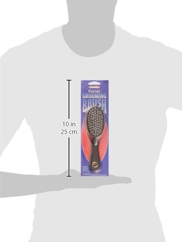 Marshall Ferret Grooming Brush