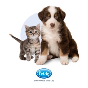 PetAg KMR 2nd Step Kitten Weaning Food - Contains Natural Milk Protein - For Kittens 4-8 Weeks Old - 14 oz