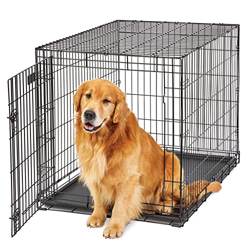 MidWest Homes for Pets Large Dog Crate | MidWest Life Stages Folding Metal Dog Crate | Divider Panel, Floor Protecting Feet, Leak-Proof Dog Pan | 42L x 28W x 31H Inches, Large Dog