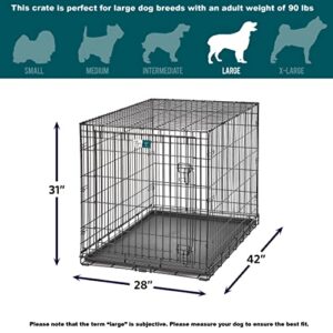 MidWest Homes for Pets Large Dog Crate | MidWest Life Stages Folding Metal Dog Crate | Divider Panel, Floor Protecting Feet, Leak-Proof Dog Pan | 42L x 28W x 31H Inches, Large Dog