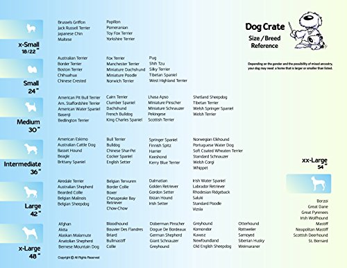 MidWest Homes for Pets Large Dog Crate | MidWest Life Stages Folding Metal Dog Crate | Divider Panel, Floor Protecting Feet, Leak-Proof Dog Pan | 42L x 28W x 31H Inches, Large Dog