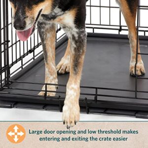MidWest Homes for Pets Large Dog Crate | MidWest Life Stages Folding Metal Dog Crate | Divider Panel, Floor Protecting Feet, Leak-Proof Dog Pan | 42L x 28W x 31H Inches, Large Dog