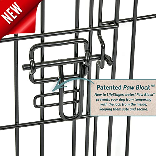 MidWest Homes for Pets Large Dog Crate | MidWest Life Stages Folding Metal Dog Crate | Divider Panel, Floor Protecting Feet, Leak-Proof Dog Pan | 42L x 28W x 31H Inches, Large Dog