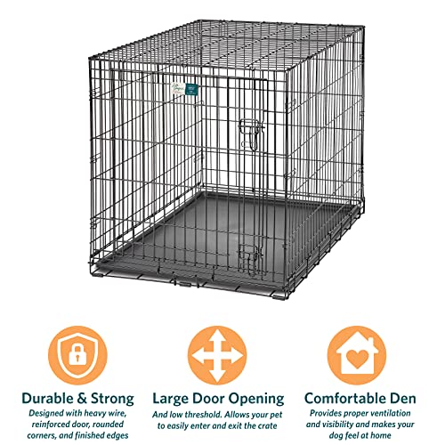 MidWest Homes for Pets Large Dog Crate | MidWest Life Stages Folding Metal Dog Crate | Divider Panel, Floor Protecting Feet, Leak-Proof Dog Pan | 42L x 28W x 31H Inches, Large Dog