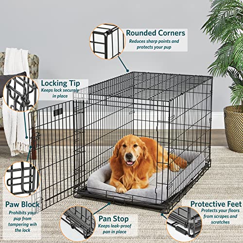 MidWest Homes for Pets Large Dog Crate | MidWest Life Stages Folding Metal Dog Crate | Divider Panel, Floor Protecting Feet, Leak-Proof Dog Pan | 42L x 28W x 31H Inches, Large Dog