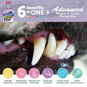 Dental Fresh Advanced Plaque and Tartar Water Additive, 17oz – Dog Teeth Cleaning Formula to Freshen Breath and Improve Overall Oral Health