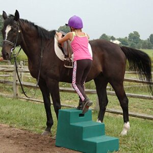 Horsemens Pride 2-Step Mounting Block