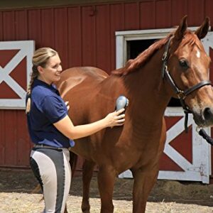 Oster Equine Care Series Finishing Brush, Soft Bristle, Natural Hog Hair, Blue