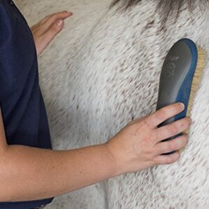 Oster Equine Care Series Finishing Brush, Soft Bristle, Natural Hog Hair, Blue