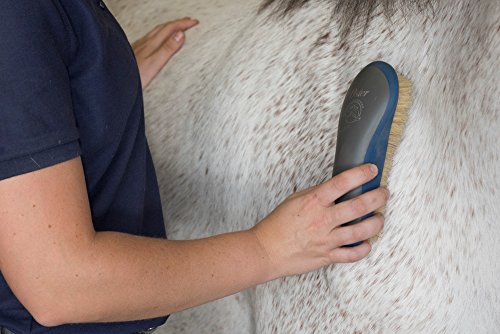 Oster Equine Care Series Finishing Brush, Soft Bristle, Natural Hog Hair, Blue