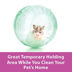 Kaytee 11.5" Clear Run-About Exercise Ball For Pet Rats & Chinchillas