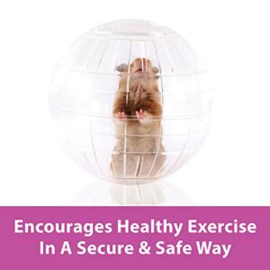 Kaytee 11.5" Clear Run-About Exercise Ball For Pet Rats & Chinchillas