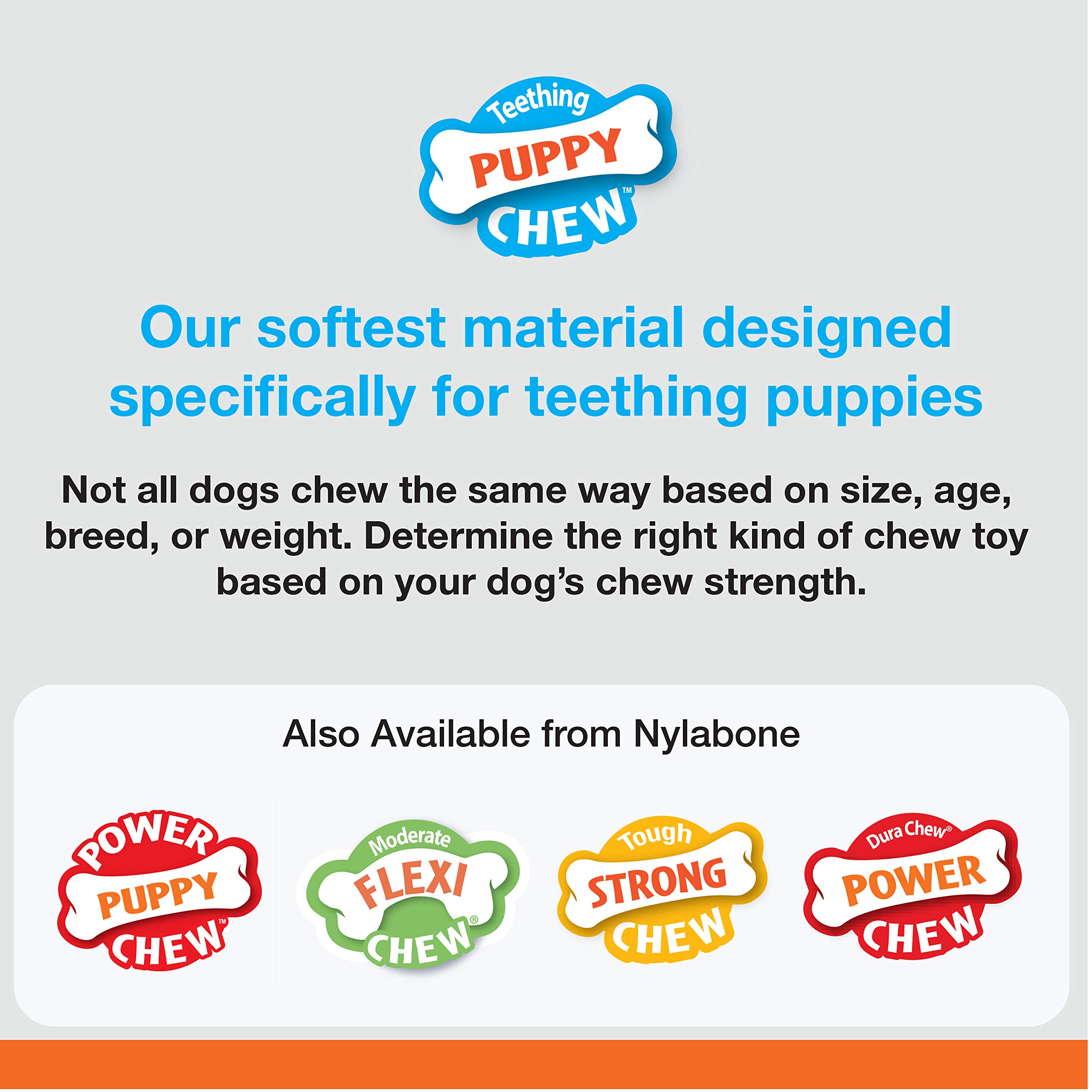 Nylabone Puppy Chew Keys Toy - Puppy Chew Toys for Teething - Puppy Supplies - Bacon Flavor, X-Small/Petite (1 Count)